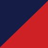 New England Patriots