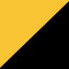 Boston Bruins