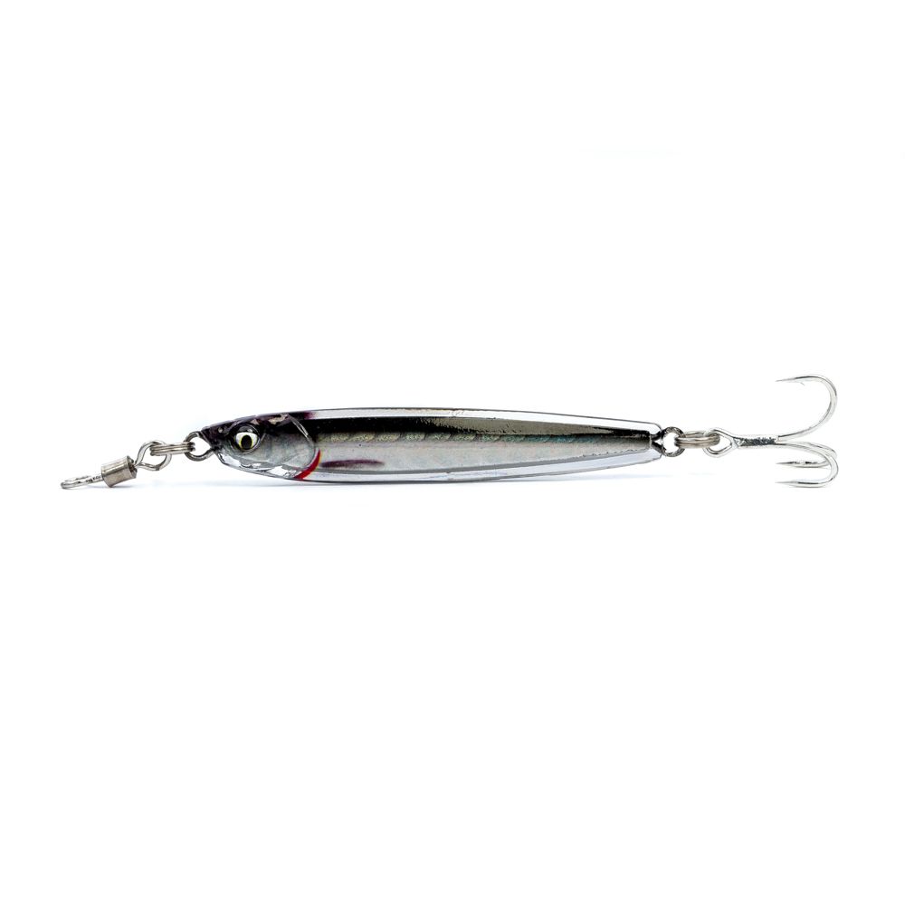 Anchovy