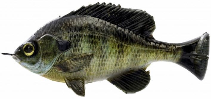 Savage Gear Pulse Tail Bluegill Swimbait - No Color