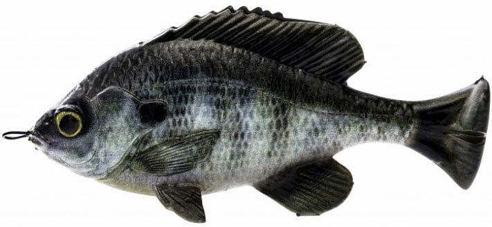 Savage Gear Pulse Tail Bluegill Swimbait