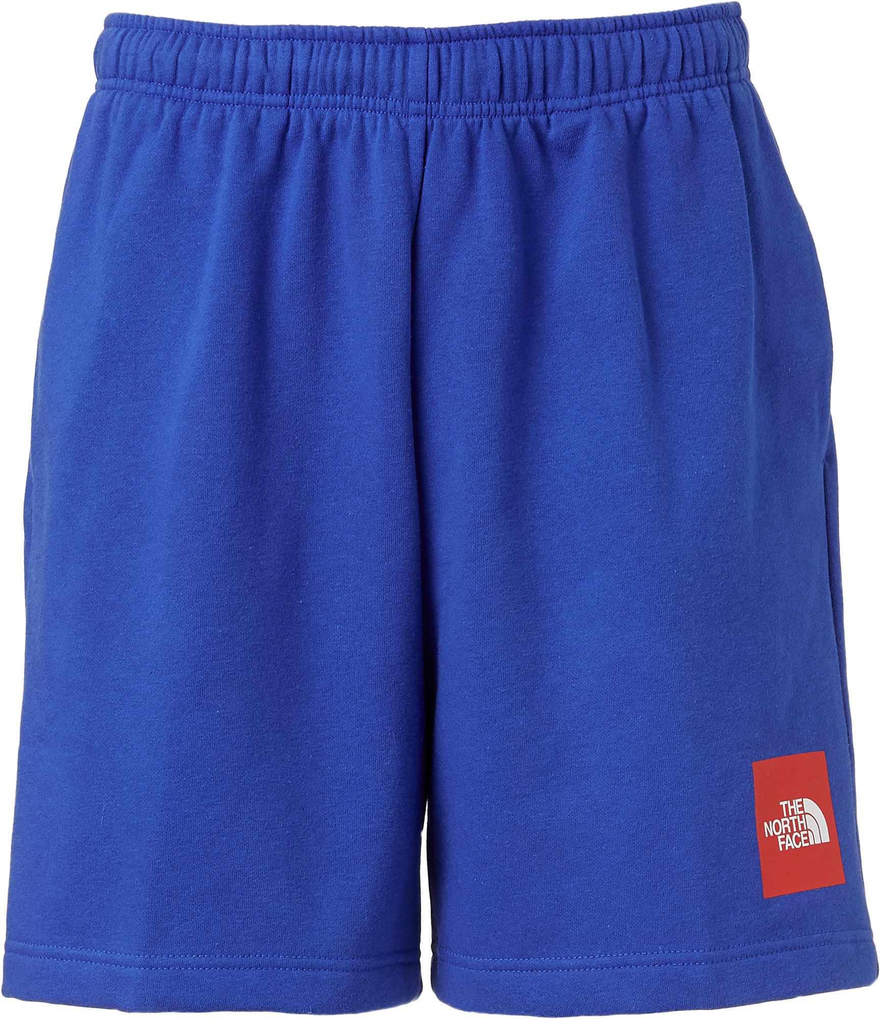 north face never stop shorts
