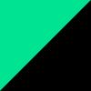 Tnf Black/Chlorophyll Grn