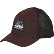 Patagonia Fitz Roy Trout Trucker Hat | Dick's Sporting Goods