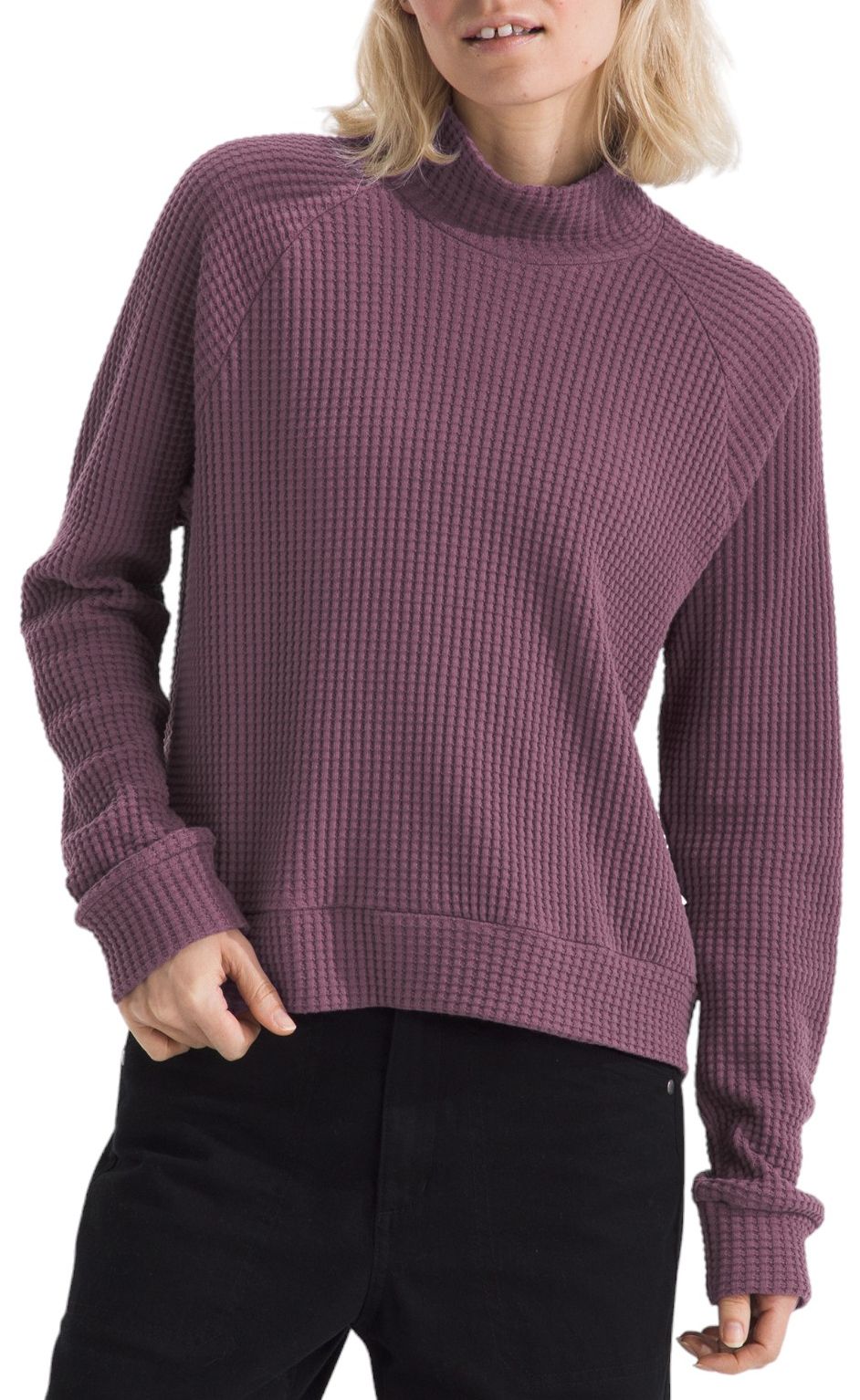 The North Face Women's Chabot Mock Neck Long Sleeve Sweater - Purple
