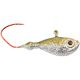 Arkansas Shiner