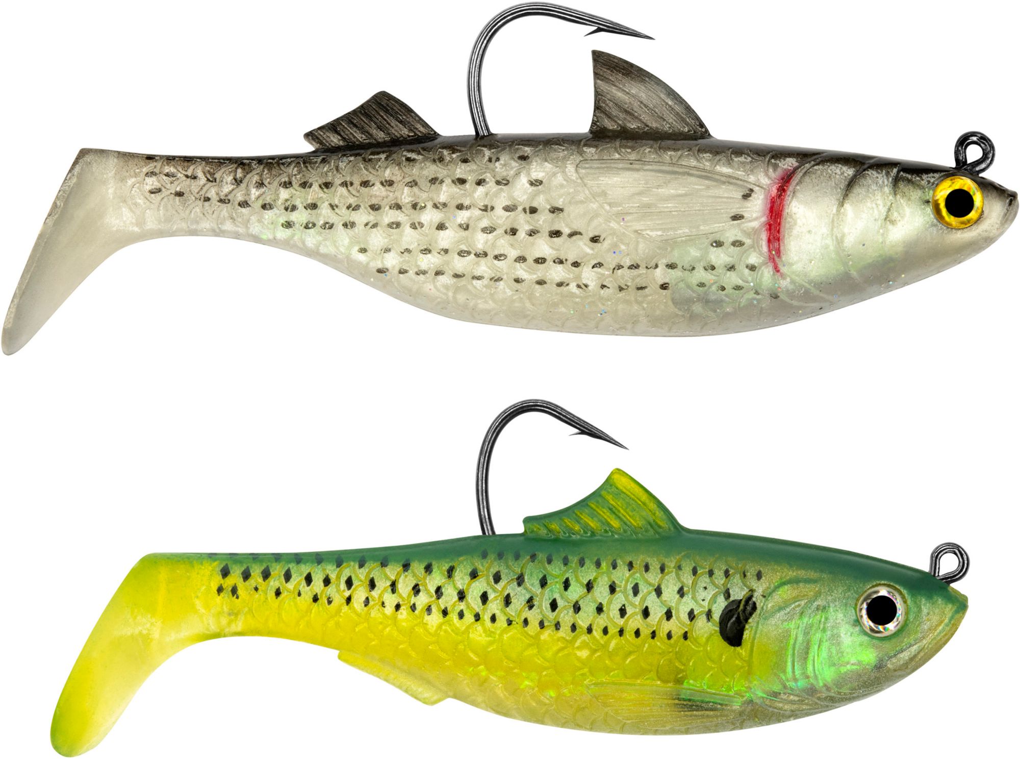 Sardine