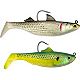 Sardine