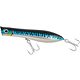 Blue Mackerel