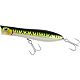 Green Mackerel