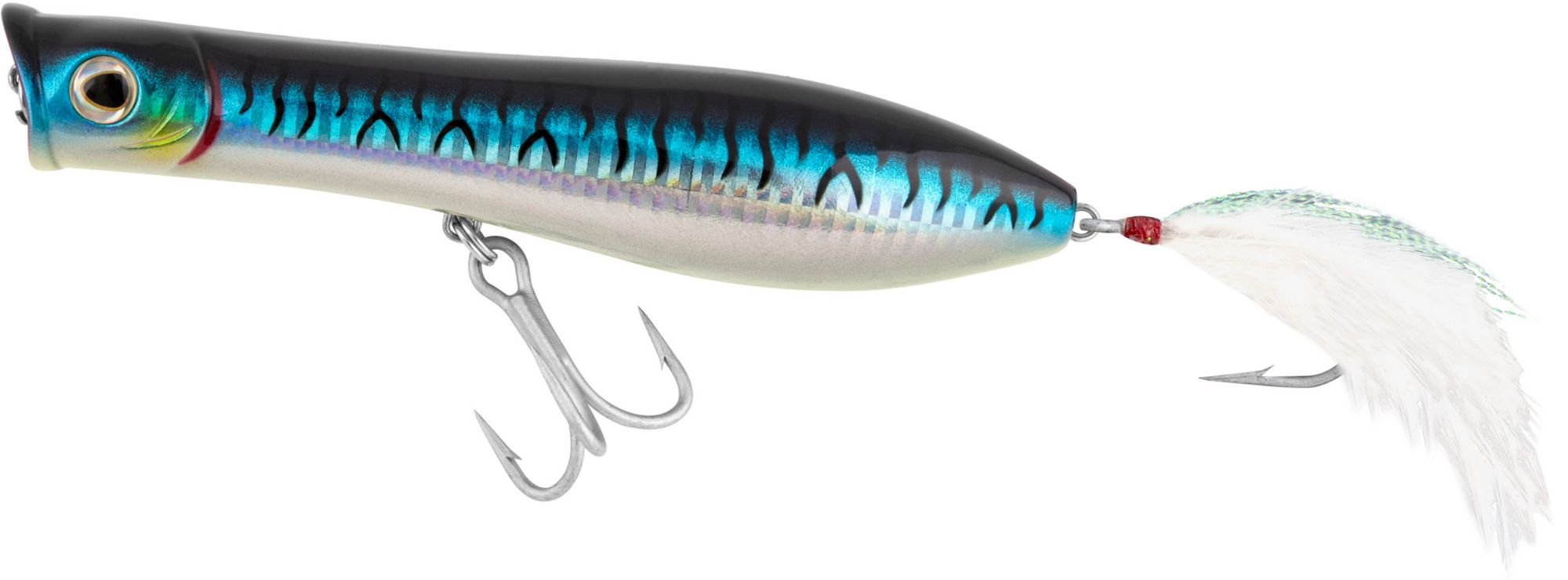 Blue Mackerel