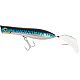 Blue Mackerel