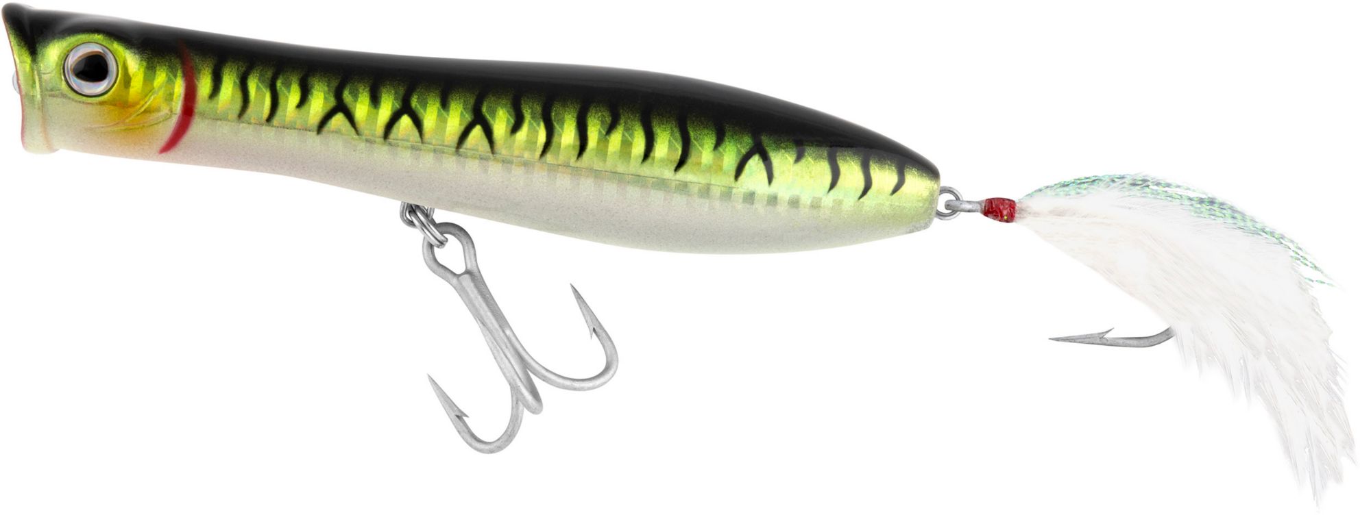 Green Mackerel