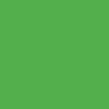 Canopy Green/Teal