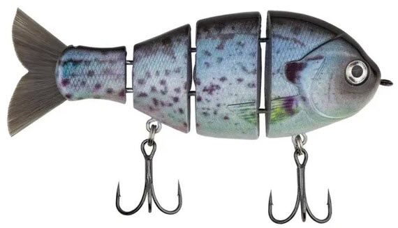 Crappie