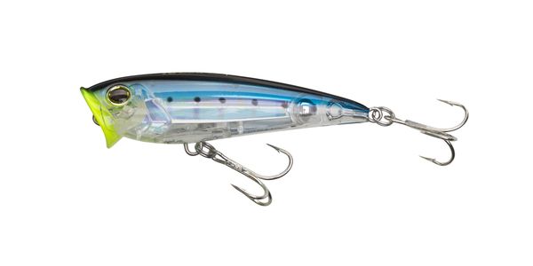 Sardine