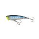 Sardine