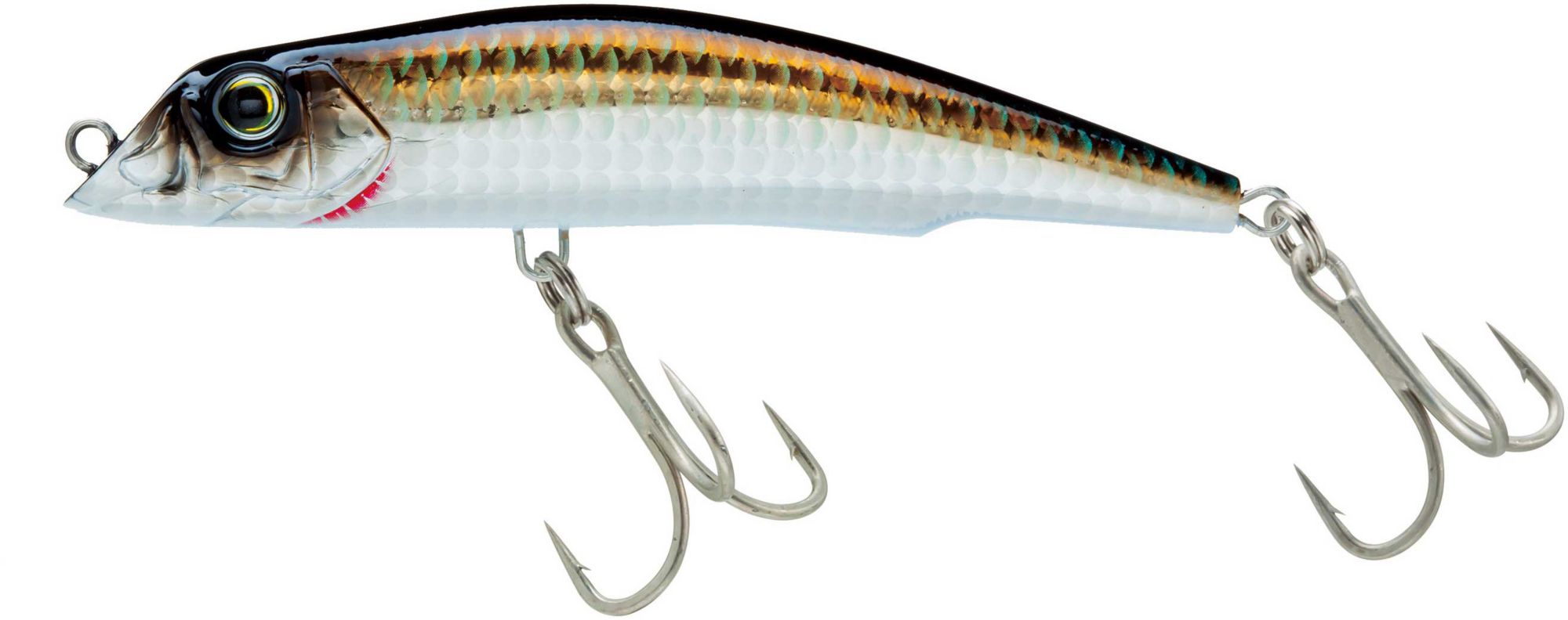 Bronze Shiner