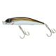 Bronze Shiner