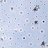 Star Struck Artic Silver