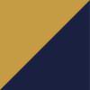 Navy/Gold