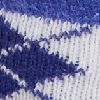 Blue/White