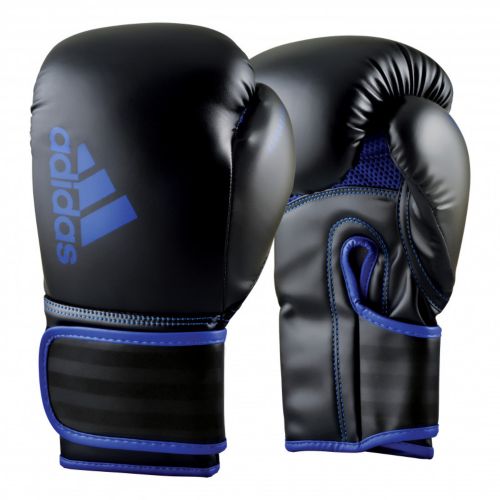 Everlast PowerLock 2 Boxing Gloves | Dick's Sporting Goods