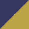Navy/Gold