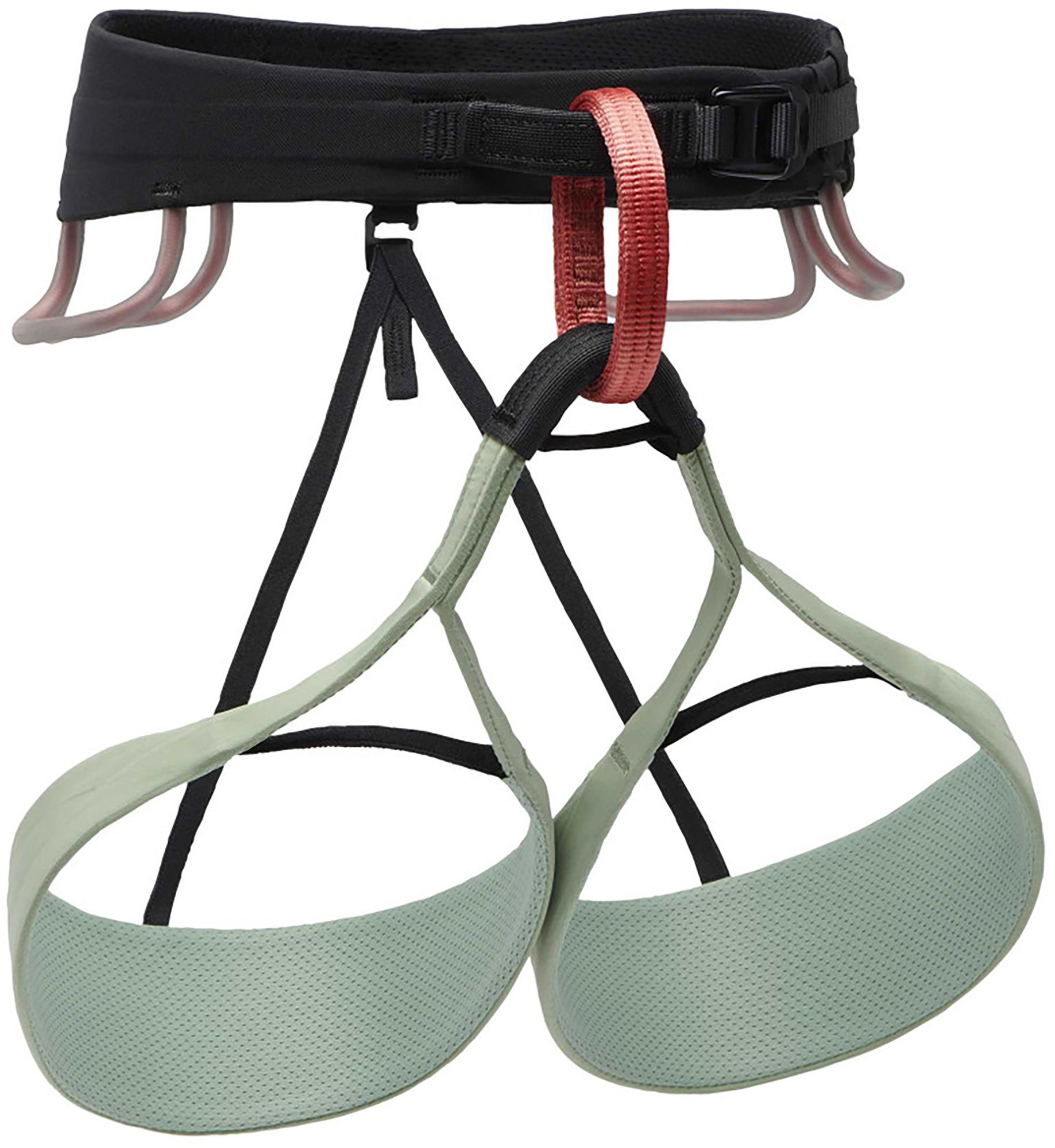 Harnesses & Accessories