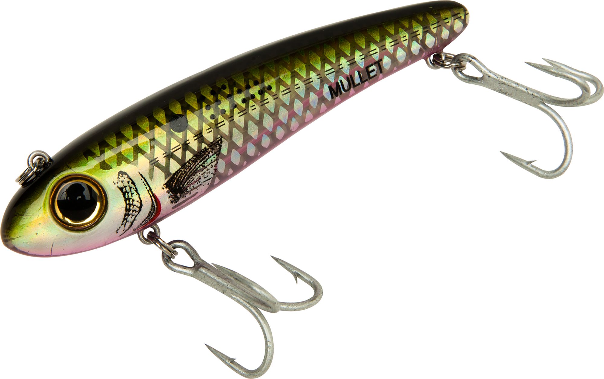 Menhaden