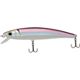 Emerald Shiner