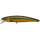 Goby