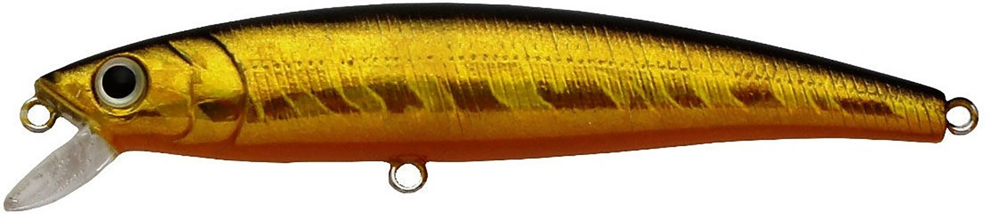 Gold/Orange