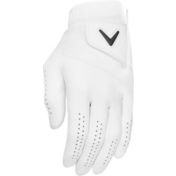 Jordan 2024 Tour Golf Glove | Dick's Sporting Goods