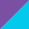 Purple/Teal