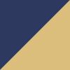Navy/Gold