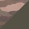 Army
