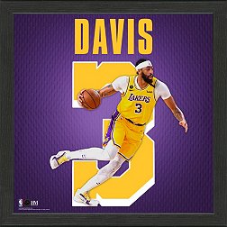 Highland Mint Los Angeles Lakers Anthony Davis Impact Jersey Framed Photo