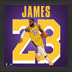 Highland Mint Los Angeles Lakers LeBron James Impact Jersey Framed Photo