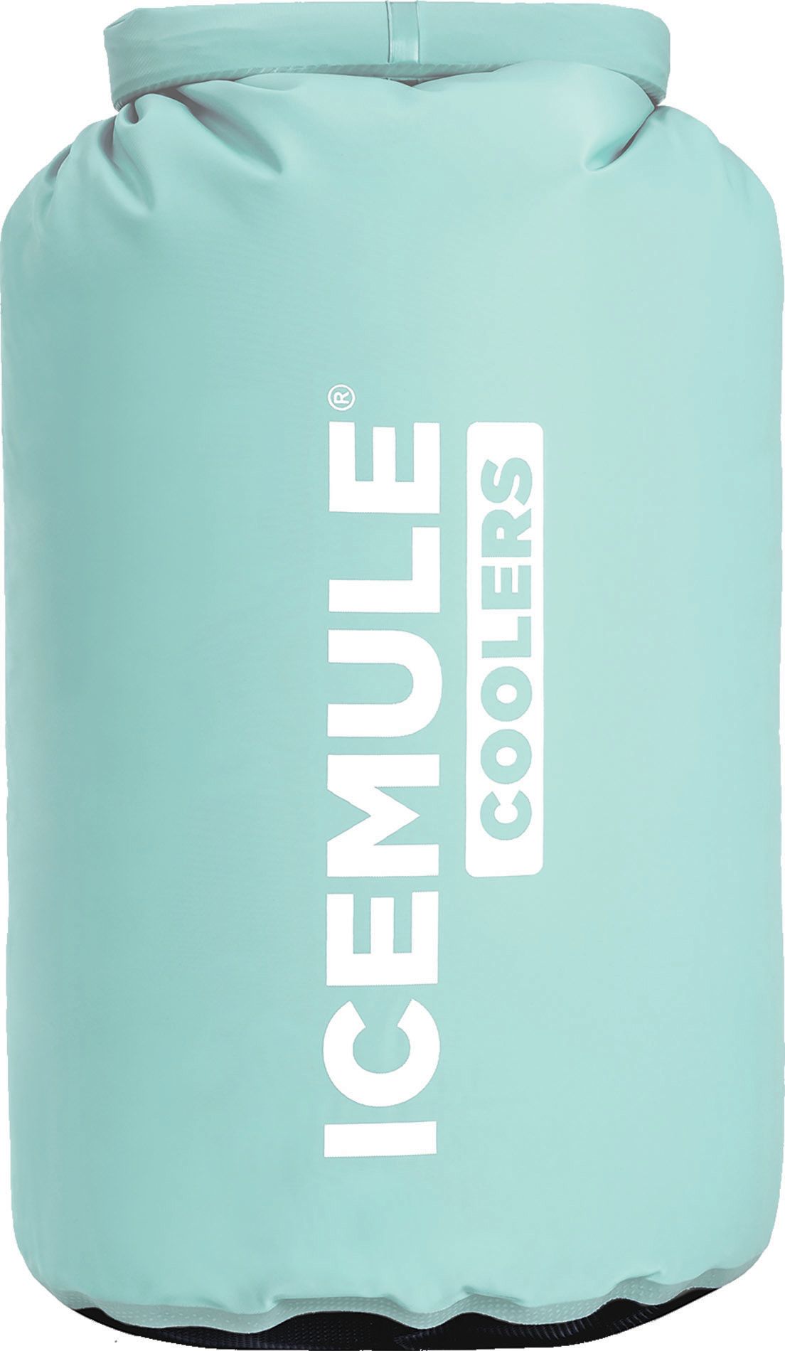 Photos - Cooler Bag ICEMULE Classic Medium 15L Cooler, Seafoam 21ICEUCMLCLSSCMDMREC