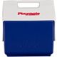 Americana Seasonal Blue