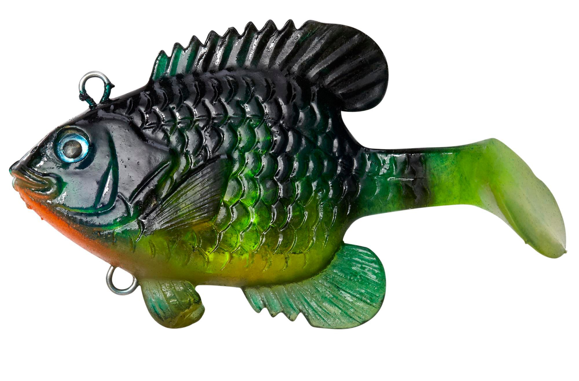Small Bluegill
