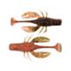 Orange Mud Bug