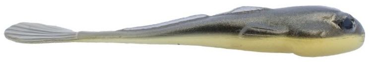 Bullhead