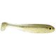 Striped Shiner