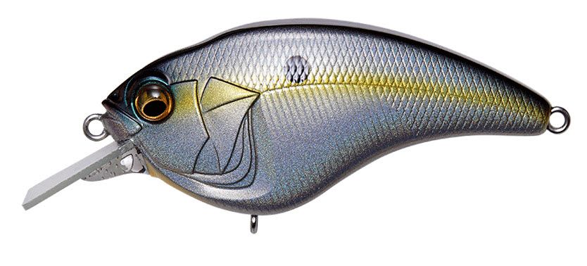 Sexy Shad