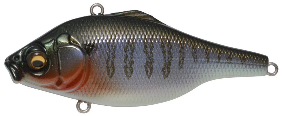 Secret Gill