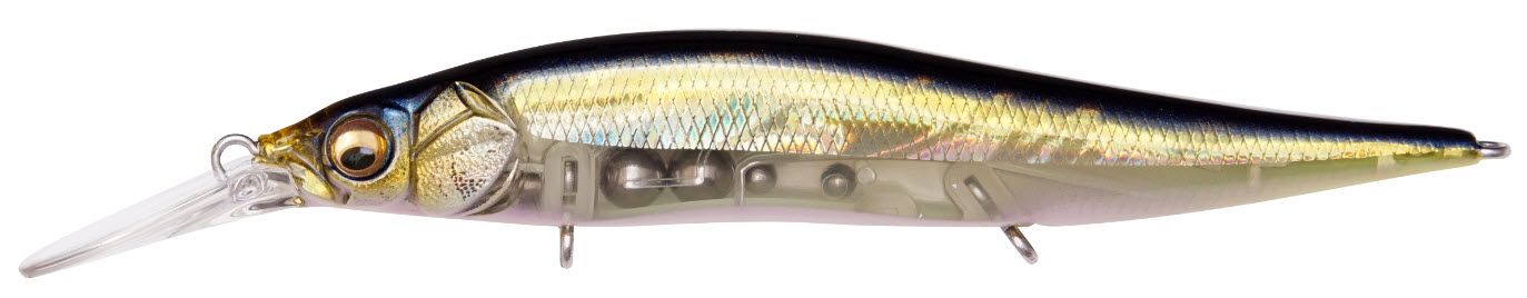 HT ITO Tennessee Shad