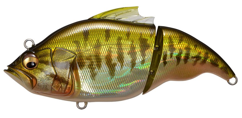 Gg Bass