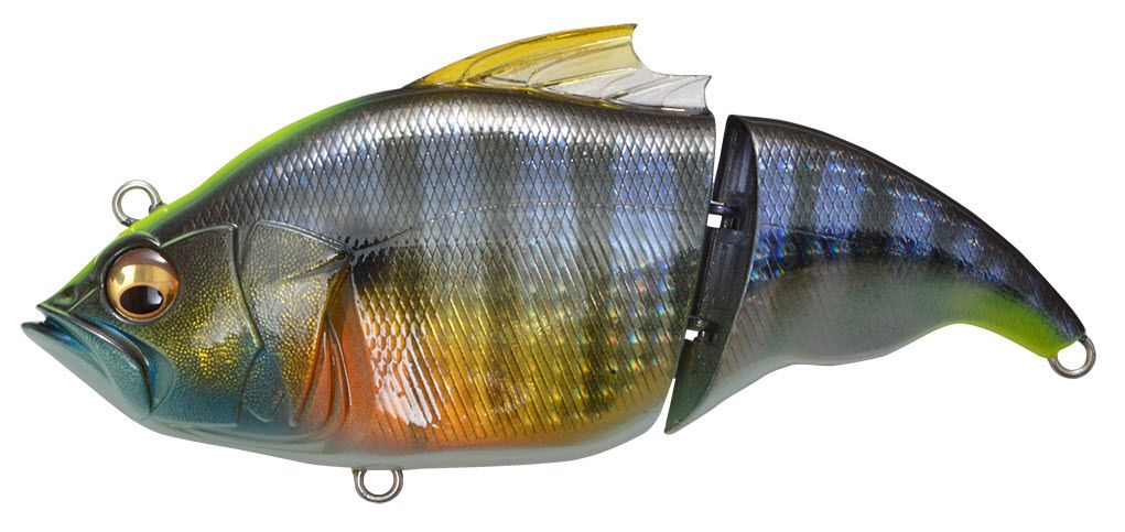 Gg Wild Gill